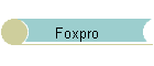 Foxpro