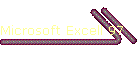 Microsoft Excell 97
